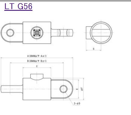 NIKKEIDENSOKU日计电测 NIKKEIDENSOKU 换器LT G56 LT-5KNG56